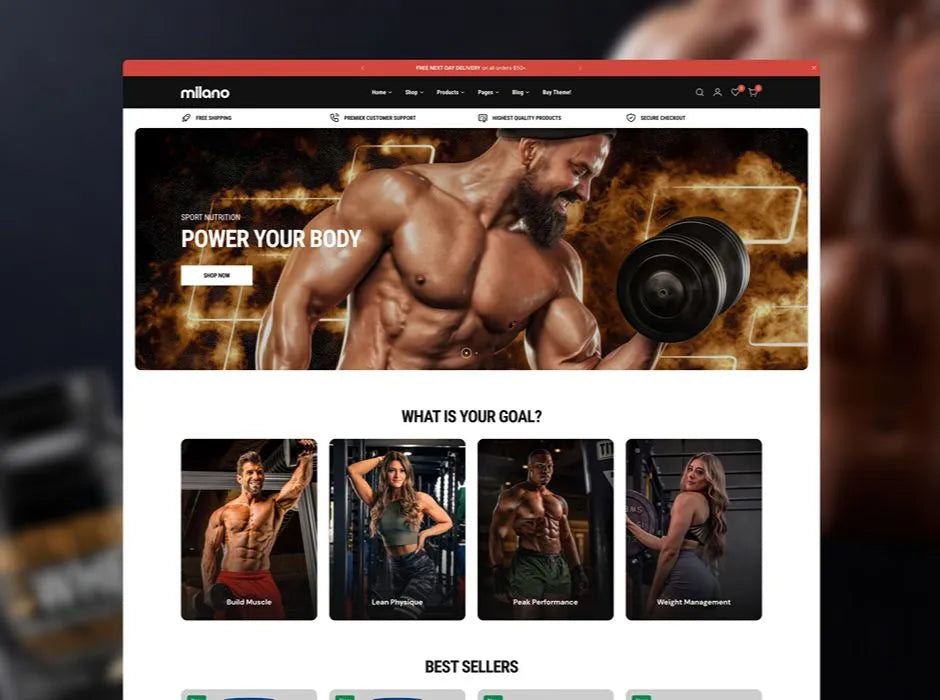 100+ Milano Shopify Themes Bundle – Premium Beauty & eCommerce Store Designs | Full License | Only ₹399