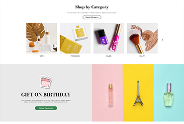 100+ Halo Shopify Themes Bundle – Premium High-Converting Store Designs (Full License Included) | Only ₹399